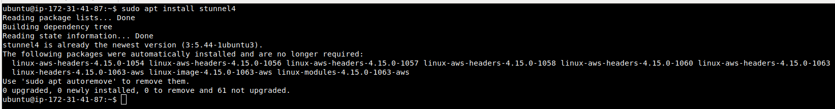 use stunnel for tls